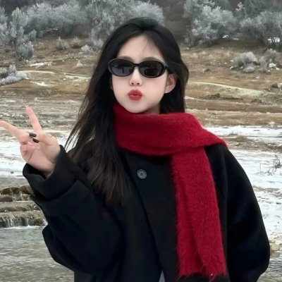 兰卡斯特的最后一次飞行